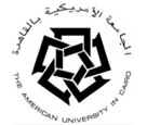 The American University in Cairo