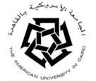 The American University in Cairo
